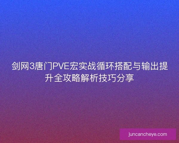 剑网3唐门PVE宏实战循环搭配与输出提升全攻略解析技巧分享