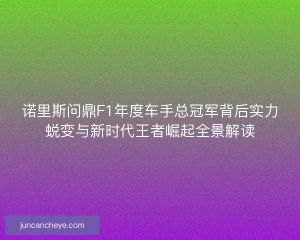 诺里斯问鼎F1年度车手总冠军背后实力蜕变与新时代王者崛起全景解读
